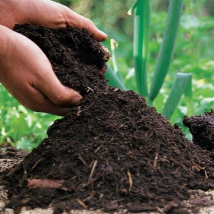 

Terlaris 500 Gram - Pupuk Organik Kompos Fermentasi Sangat Subur Pupuk Kandang