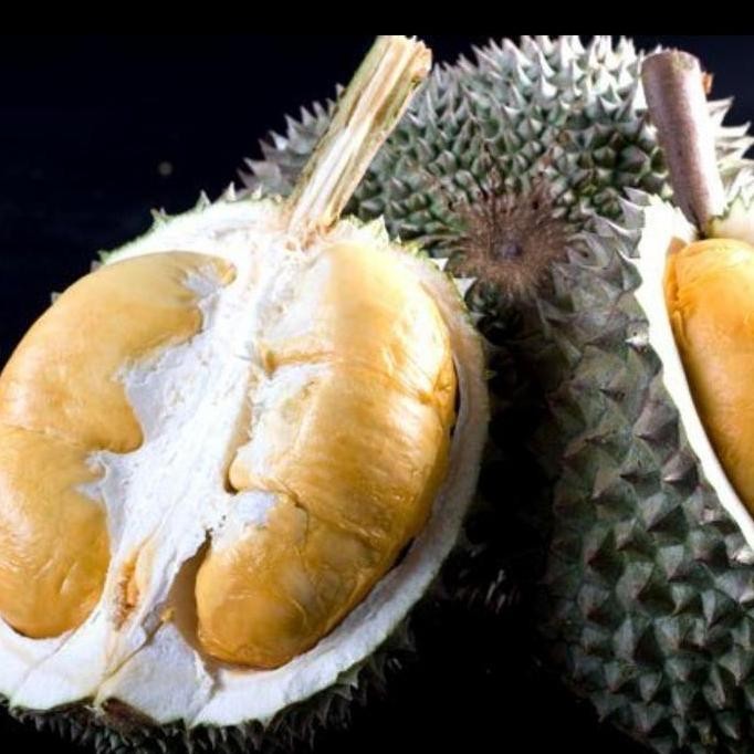 

Terlaris Bibit Durian Duri Hitam Asli Okulasi Cepat Berbuah