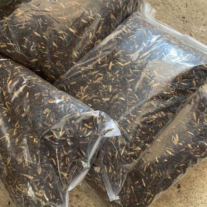 

Terlaris |Executive| Pupuk Kandang Kotoran Ayam Fermentasi Murni Halus Kering