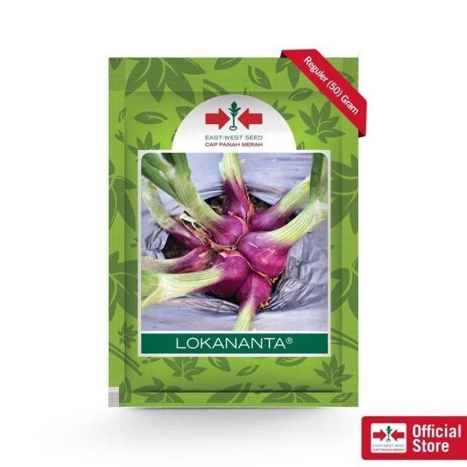 

Terlaris Benih Biji Bibit Tanaman Unggul Bawang Merah Lokananta Isi 50 Gram