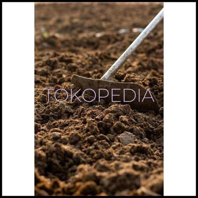 

Terlaris Ready Terlaris Kohe Pupuk Kandang Murni Fermentasi 1Kg