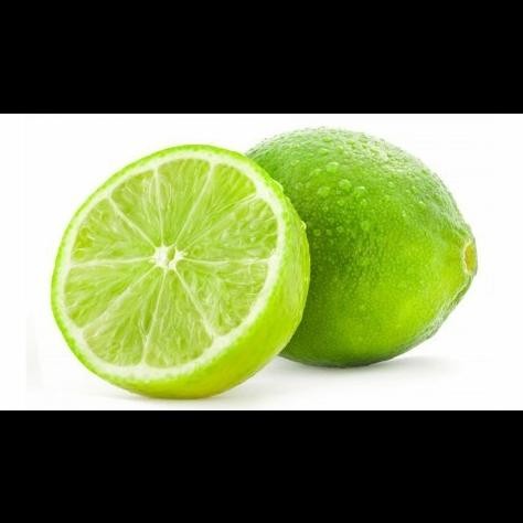 

Terlaris Premium Bibit Tanaman Buah Jeruk Nipis Asli, Pohon Jeruk Nipis Unggul Bb