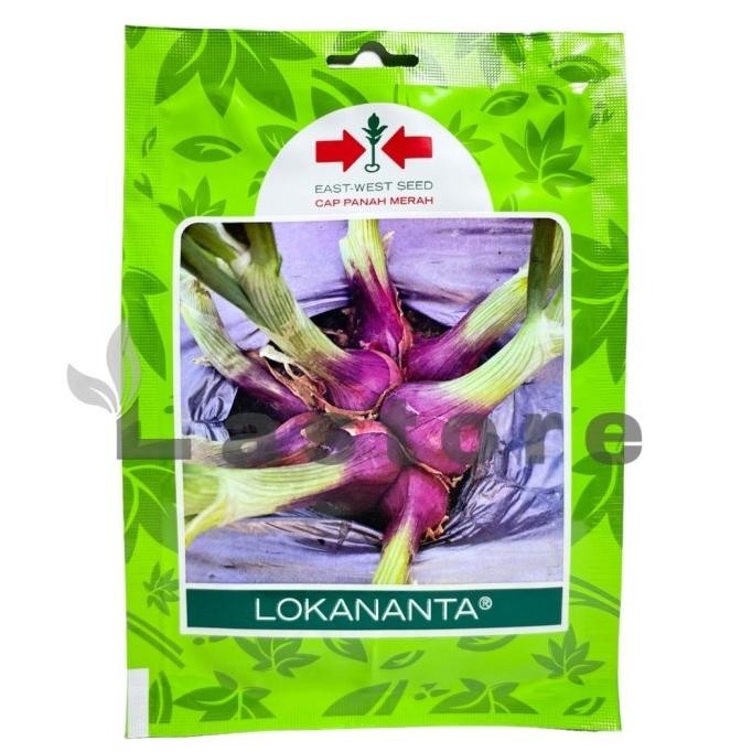

Terlaris Benih Bibit Bawang Merah Lokananta Cap Panah Merah