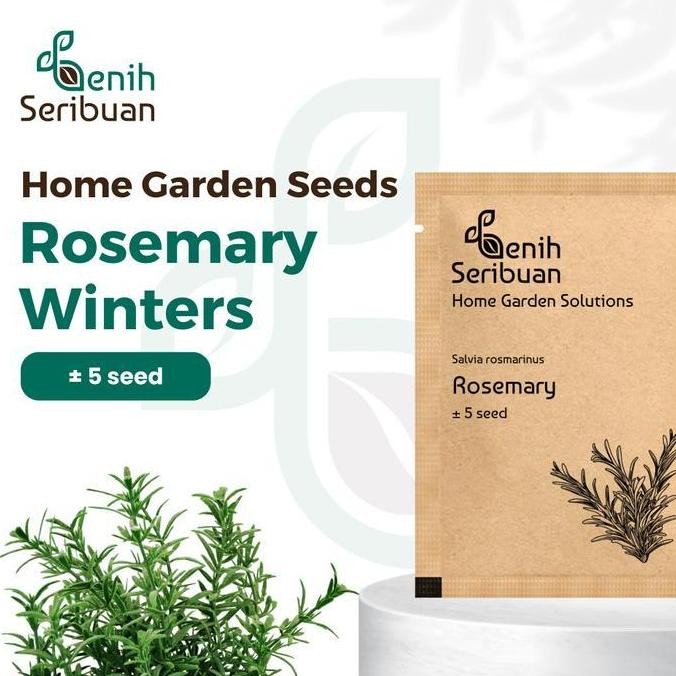 

Terlaris Benih Seribuan Bibit Rosemary Heirloom Tanaman Herb Premium