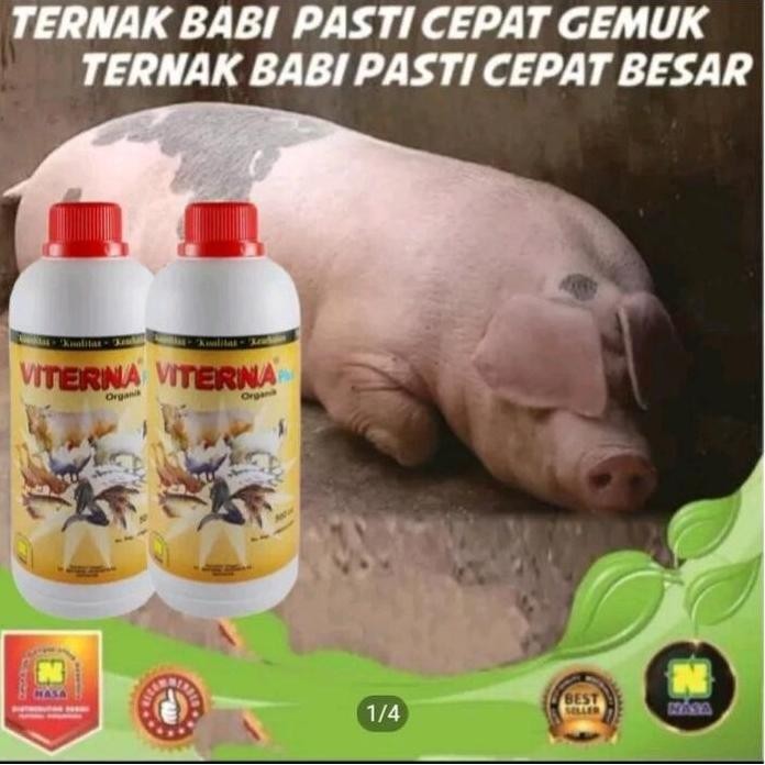

Terlaris Vitamin Ternak Viterna Plus Vitamin Sapi Kambing Babi Bebek Entok Dan Ikan Viterna 500 Cc Suplemen Penggemuk Hewan Ternak |/Cod Bisa Bayar Di Tempat