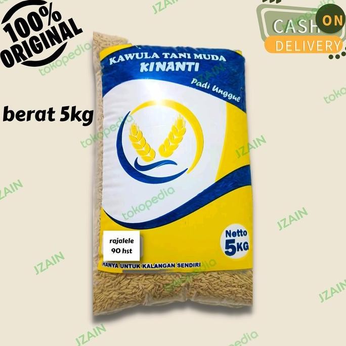 || BANANA / benih padi rojolele cod ||~~~