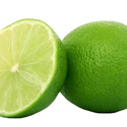 

Terlaris Benih Jeruk Nipis Okulasi (Bibit Jeruk Nipis)