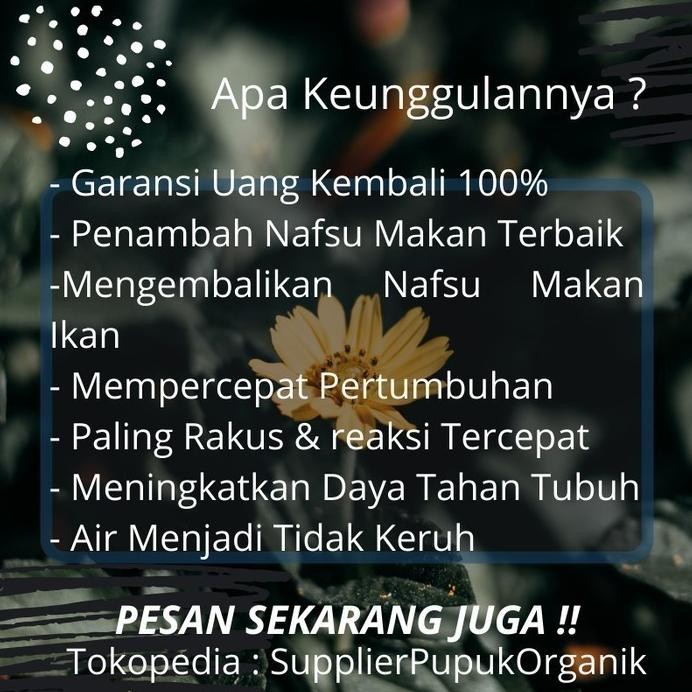 Terlaris Vitamin Nafsu Makan Ikan Arwana, Obat Penambah Nafsu Makan Arwana,8 Terbatas