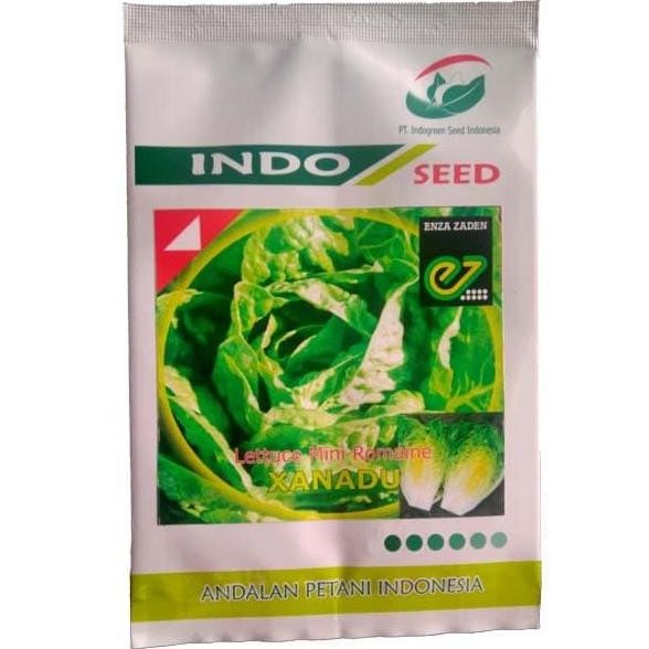 || BANANA / Enza Zaden - Xanadu Lettuce Mini Romaine -Benih Romaine Mini - 5 Gram ||~~~