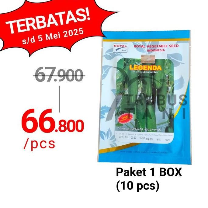 || BANANA / Benih Bibit Timun Hibrida F1 LEGENDA ||~~~