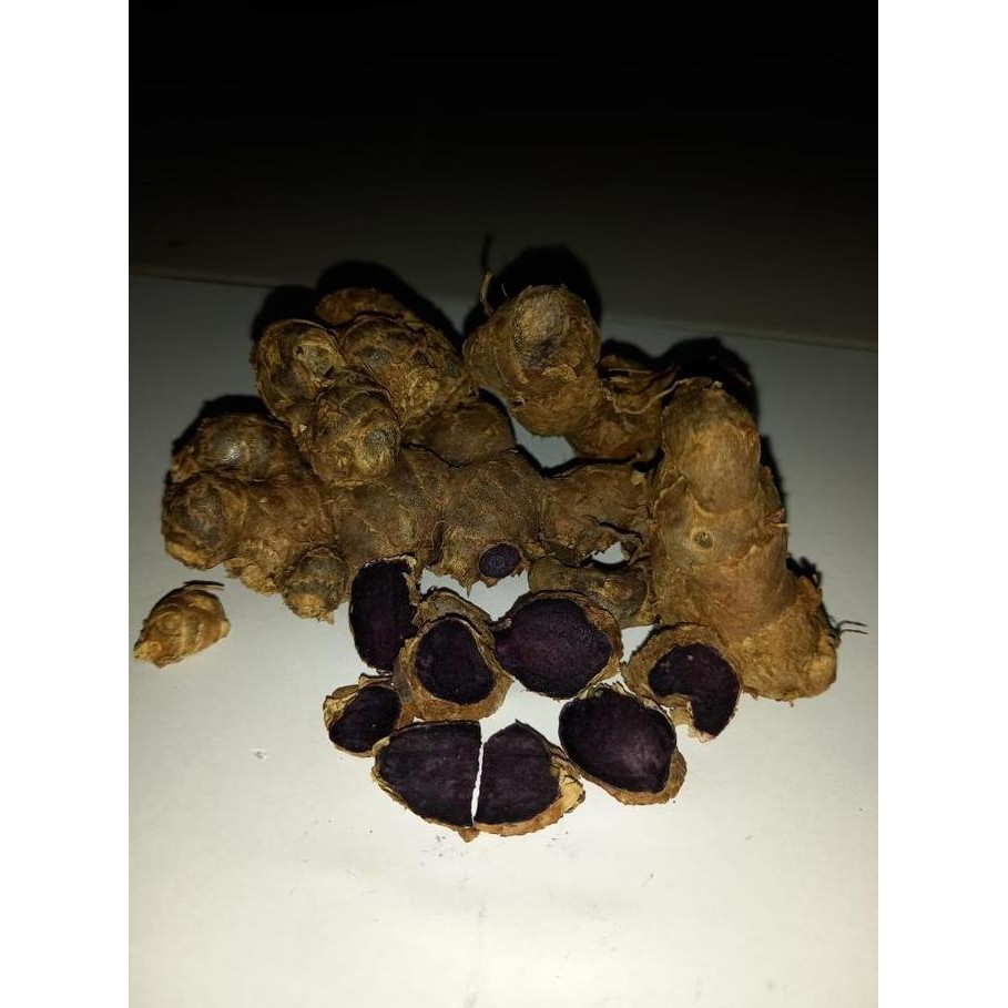 || BANANA / Benih Kunyit Hitam Asli 100Gr ||~~~