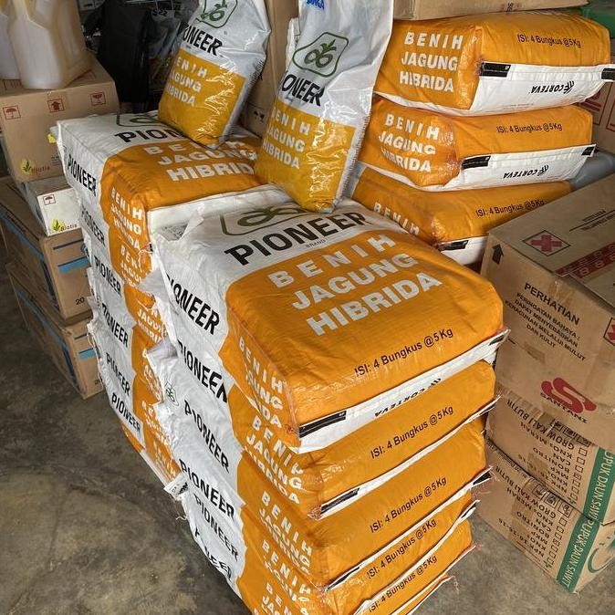 || BANANA / Benih Pioneer P32 Singa Bibit Jagung Hibrida Kemasan asli 5kg ||~~~
