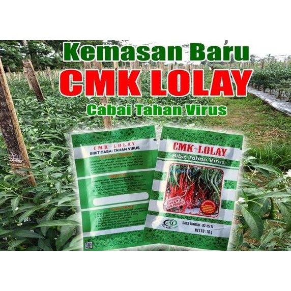 || BANANA / Bibit Cabe LOLAY 10 Gram - Benih Cabe Merah Keriting LOLAY - CMK LOLAY ||~~~