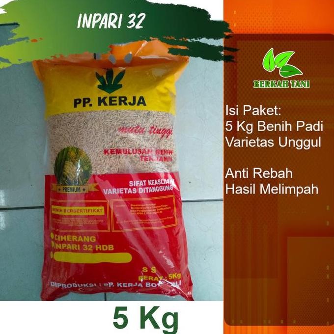 || BANANA / Benih Padi Inpari 32 Premium Pak Tani 5 Kg ||~~~
