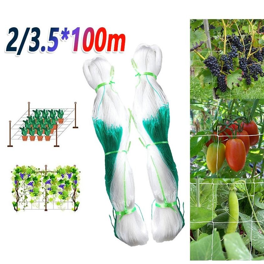 Premium 100M  Jaring Rambatan Tanaman Buah Merambat Plant Climbing Net  kebun buah anggur/Jaring pag