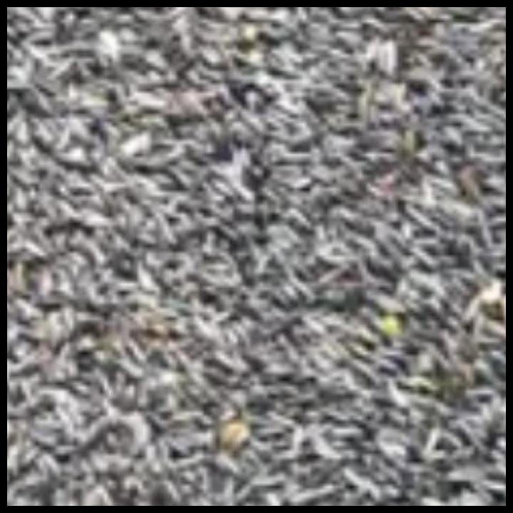 

Niger Seed Biji Niger 500 Gr