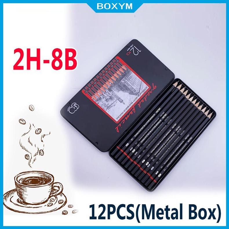 

Bisa Disesuaikan 12 Pcs Pensil Gambar Sketsa Set Lengkap 2H H F B Hb 2B 3B 4B 5B 6B 7B 8B Charcoal Pensil Set