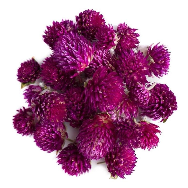 

Bunga Globe Amaranth Kering isi 100 Gram