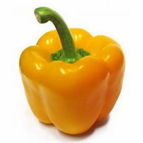 

Garansi 250Gr - Cabai Bandar Sayur [ Cabe Rawit Merah - Hijau / Cabe Keriting Merah -Hijau / Cabe Besar Tw Merah-Hijau / Cabe Tanjung Merah / Cabe Gendot / Paprika Merah-Hijau-Kuning]