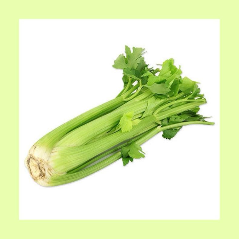 

Bermutu Seledri Stick Import / Celery / Sayuran Seledri Stick