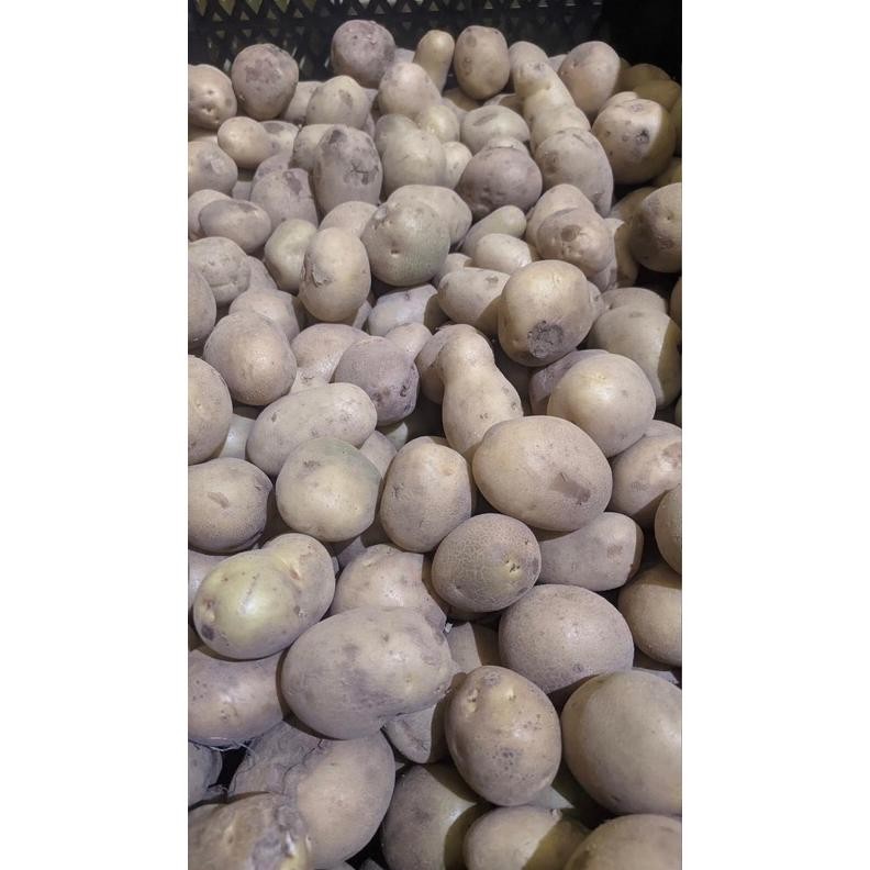 

Harga Terjangkau Kentang Dieng Super 1Kg