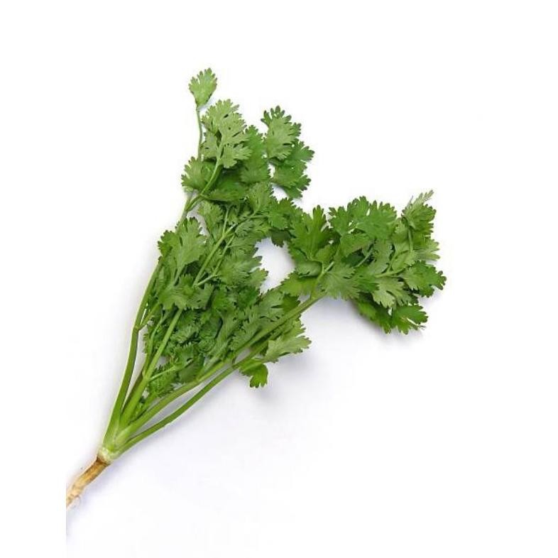 

Cod Seledri | 100 Gr | Serba Fresh