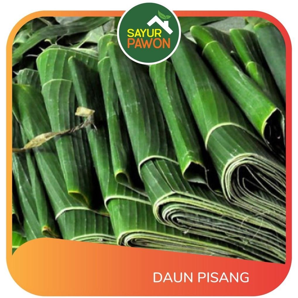 

Sempurna Daun Pisang Per Pack