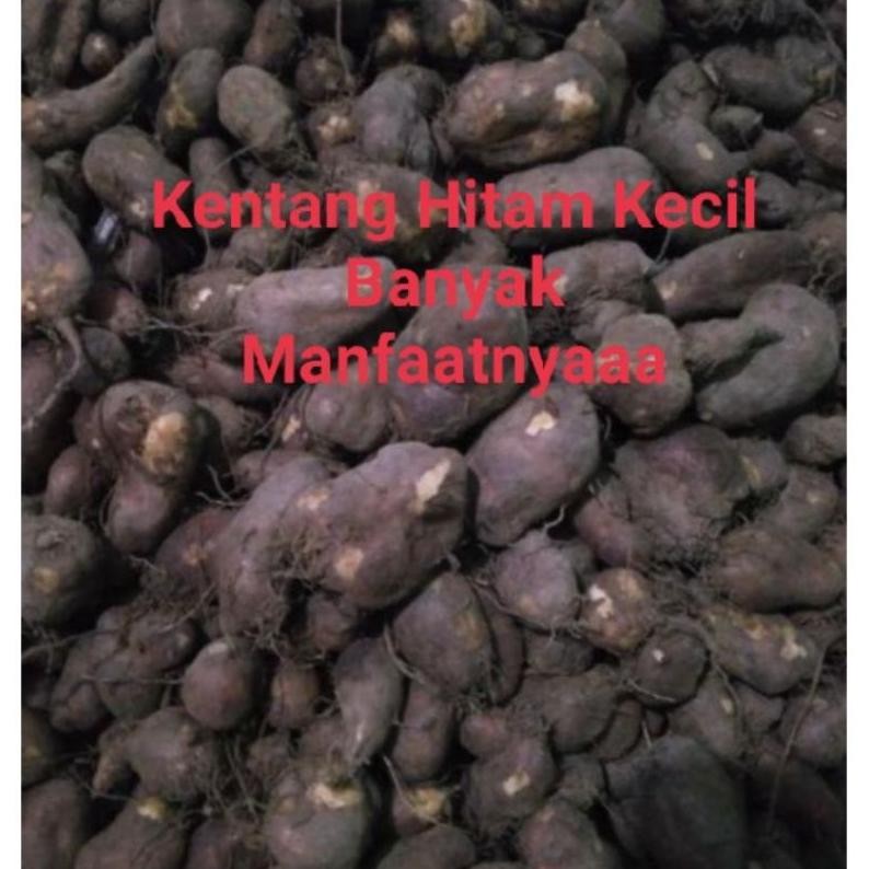 

Mewah Kentang Hitam Kemasan 1Kg