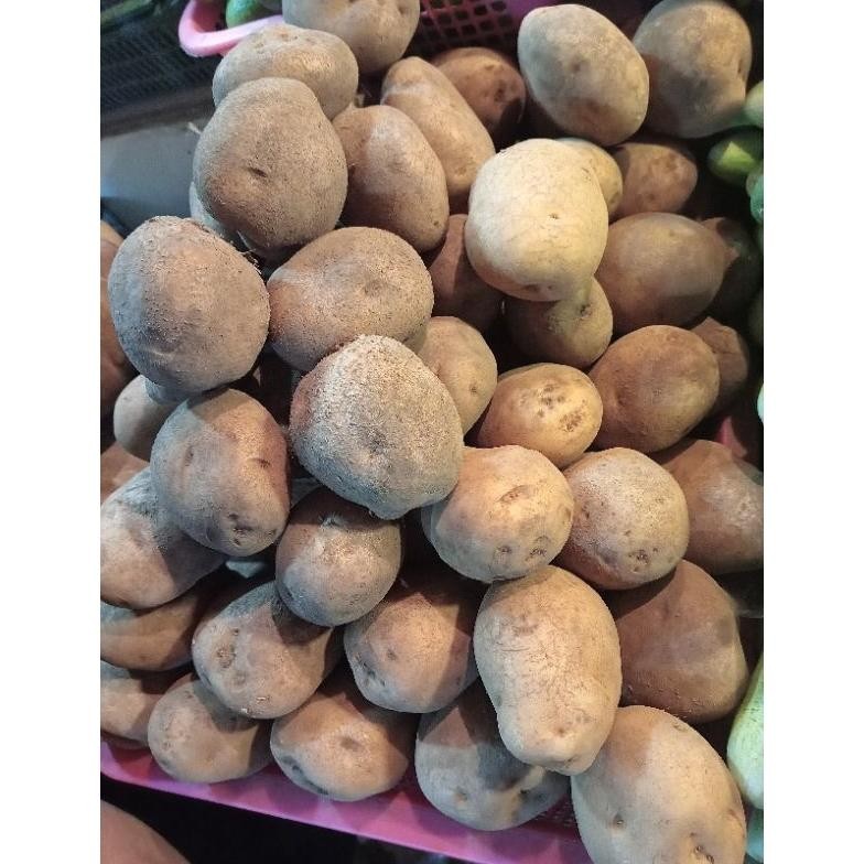 

Trendi Kentang Besar 500Gr