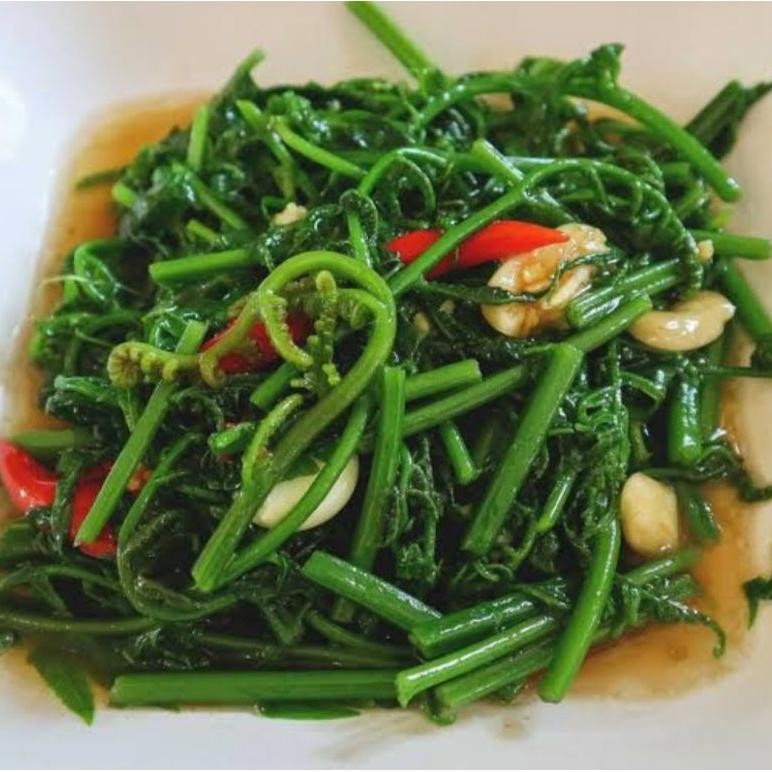 

Eksklusif Daun Pucuk Labu Siyam/Daun Pucuk Waluh Hijau Segar 200Gram