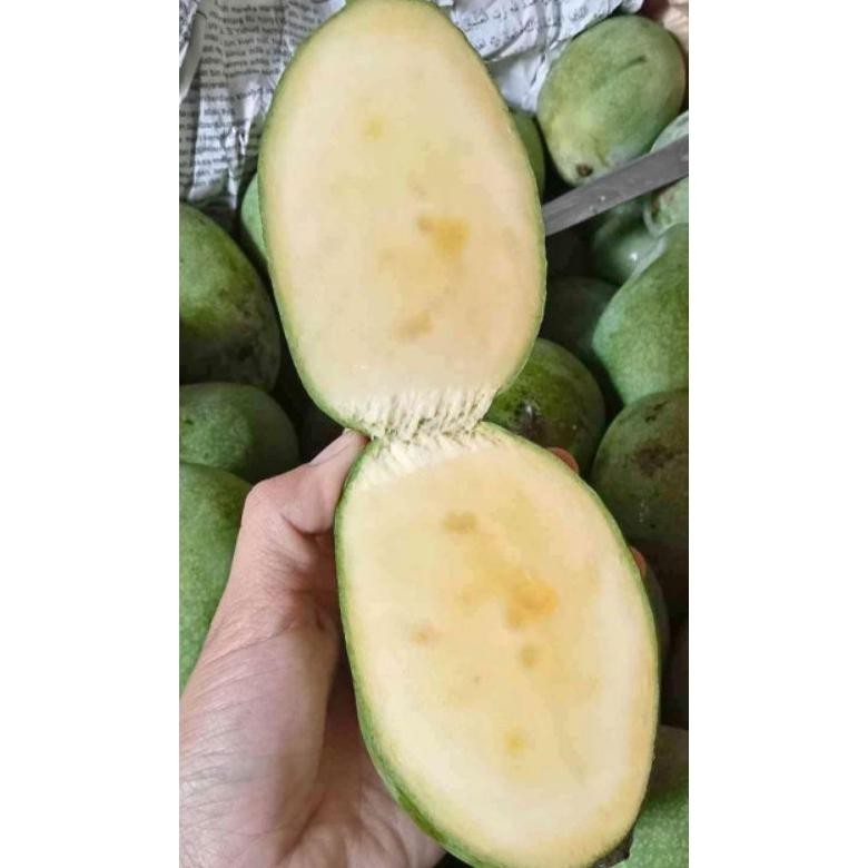 

Keunggulan 1Kg Jual Mangga Manalagi Malang 1Kg Murah Gratis Ongkir, Ready Mangga Manalagi