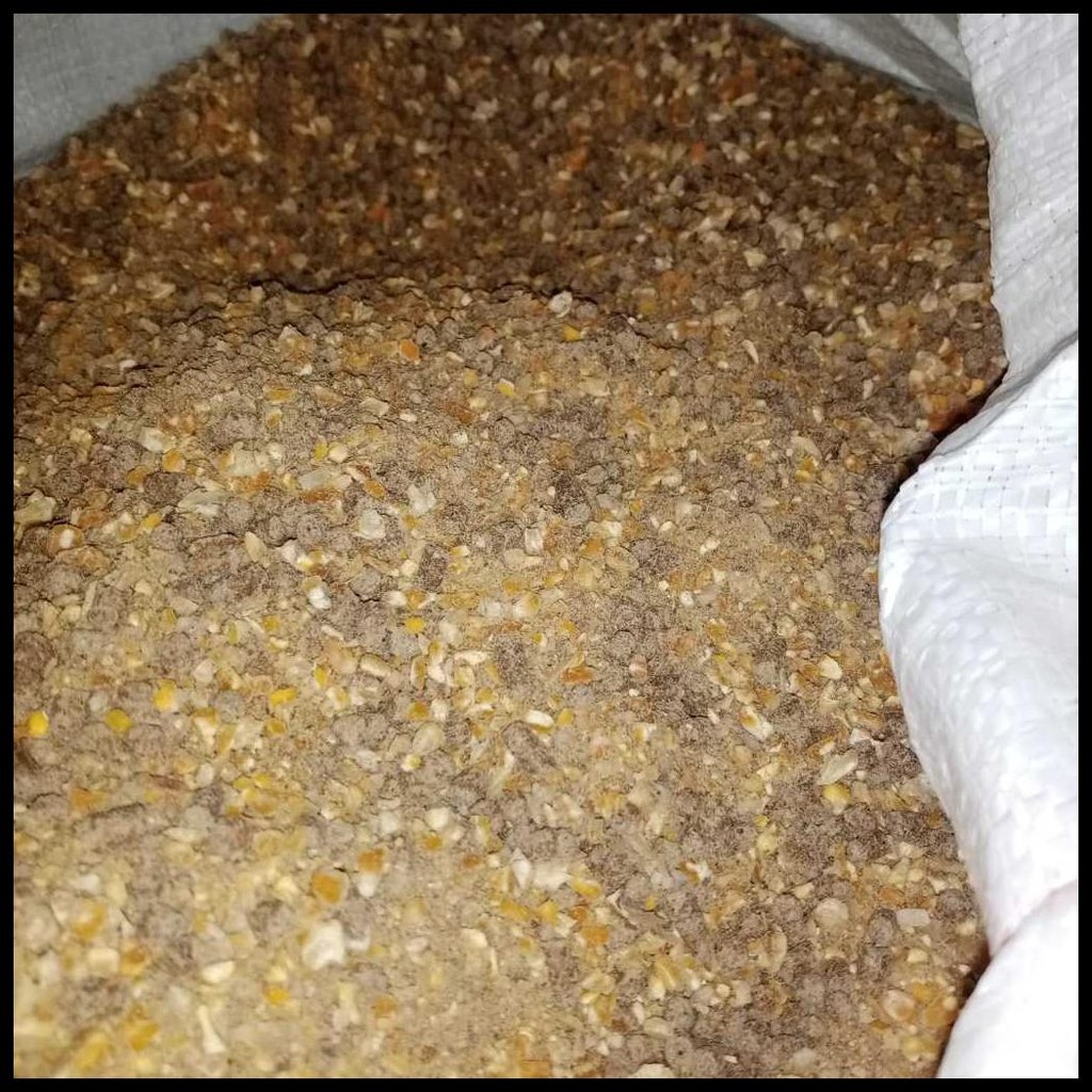 1 KG KONSENTRAT AYAM PETELUR DEWASA PAKAN PUR CAMPUR KUMPLIT GIZI NEGRI BLOILER POTONG