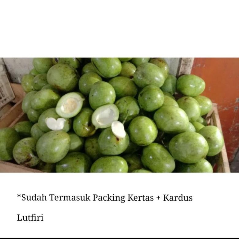 

Menarik Mangga Telor Telur Or Keong Muda Mentah 1 Kg Belah Biji Asem Segar Fresh Rujak Manisan Asinan ( Di Kirim Utuh Ya Ka)
