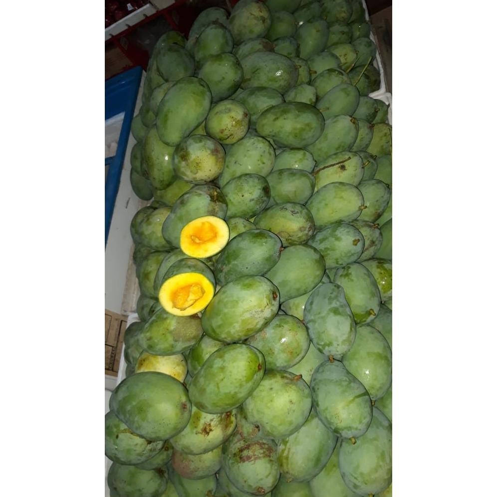 

Free Ongkir Mangga Gadung/Harumanis Ready Setengah Matang Bu