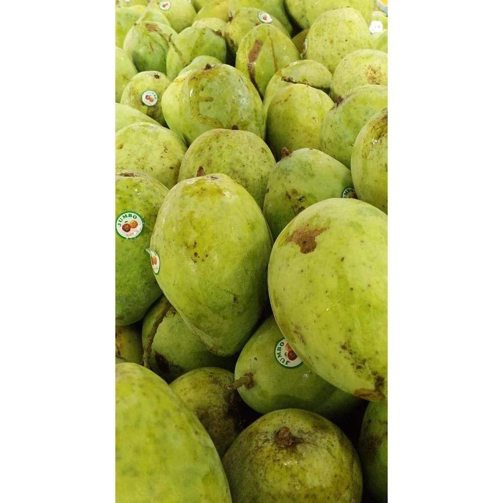 

Paling Laris Duta Buah Mangga Indramayu (900G-1Kg)