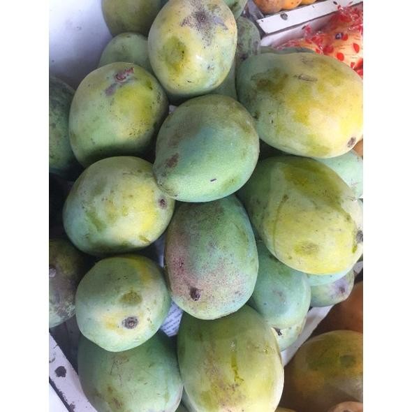 

Promo Bulan Ini Mangga Harum Manis Matang Pohon