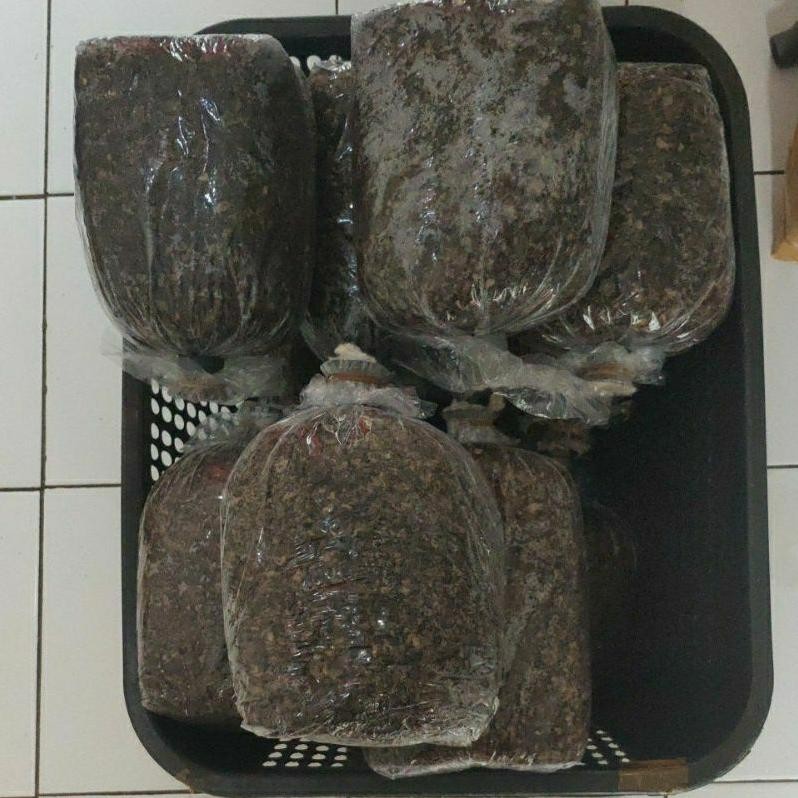 Diskon Bibit Jamur Merang Unggul (Jumbo) Varietas Putih Dan Semi Hitam