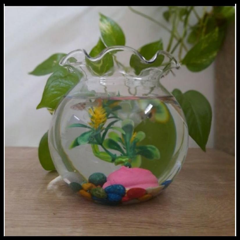 AQUARIUM BULAT AQUARIUM BULAT FISHBALL 1,5 L DLX