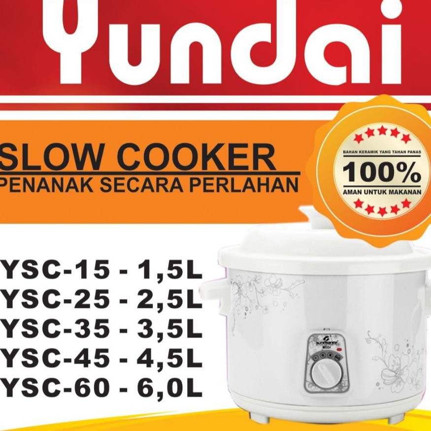 NEW Slow Cooker Yundai