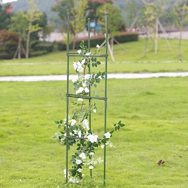 baru penyangga tanaman / rambatan tanaman anggur