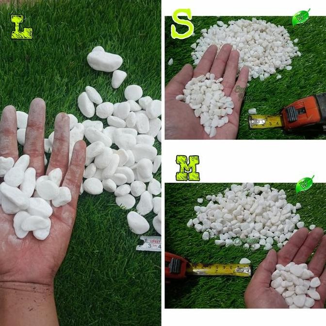 baru Batu koral putih italy import 10kg via cago