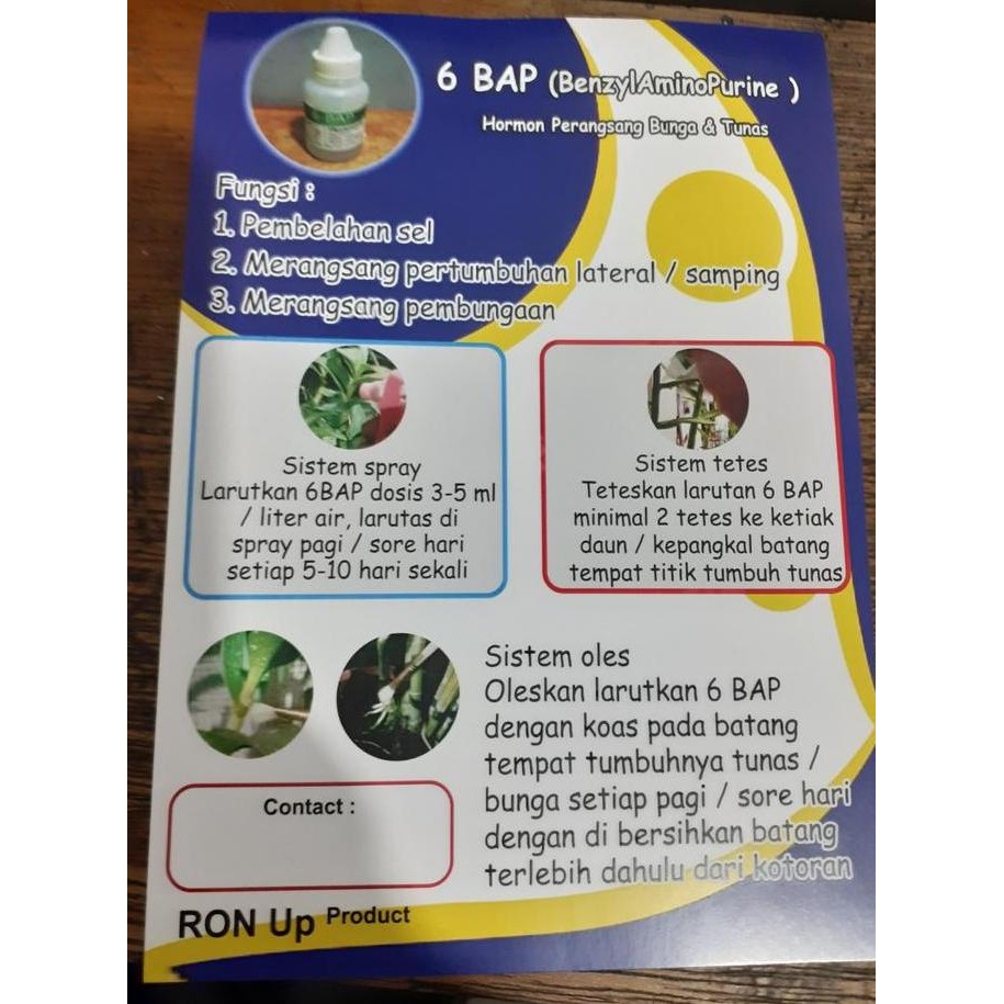 fresh 6-BAP | 6 BAP | 6 benzylaminopurin : Hormon Sitokinin Andal untuk Merangsang Spike dan Keiki A