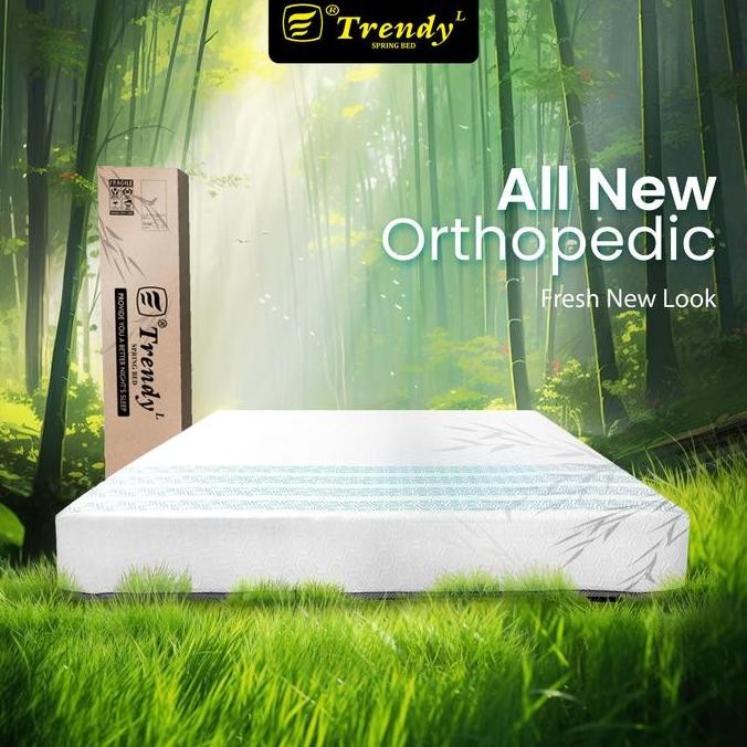 Trendy Orthopedic Bed (Kasur Kesehatan Tulang Belakang/Punggung) Kasur Furniture