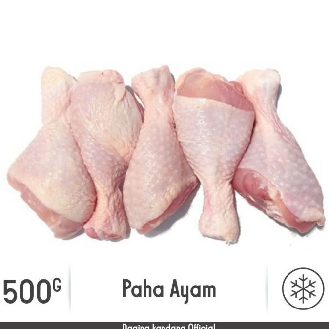 

(Expert) PAHA AYAM PENTUNG DRUMSTICK | DAGING KANDANG