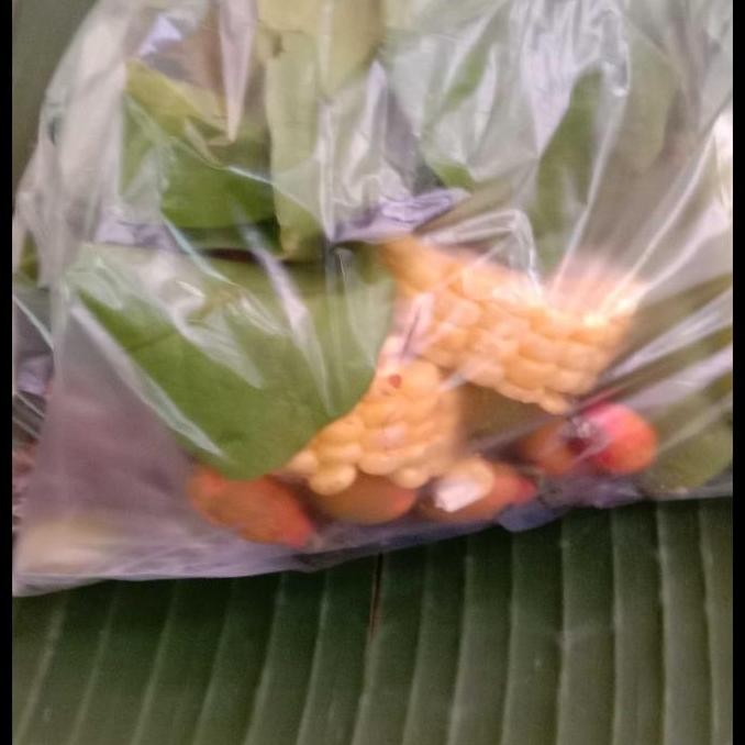 

Paket Sayur Asem Segar Lengkap Siap Masak