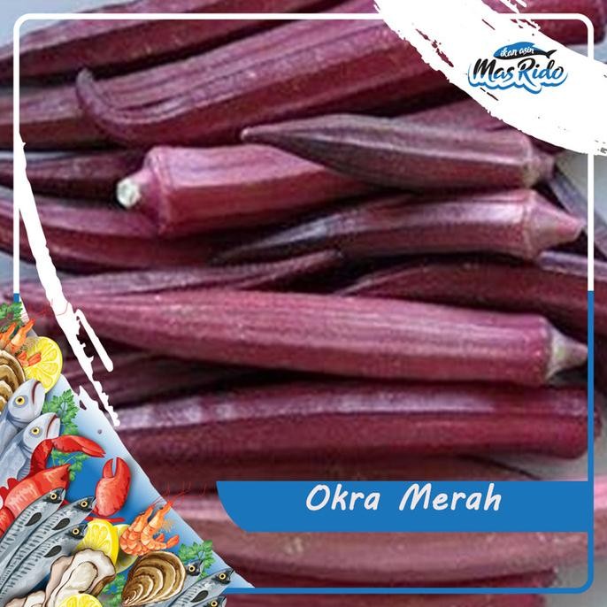 

Sayur Okra Merah Segar Fresh Kwalitas Super Harga Murah per Pack