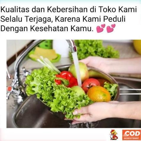 

Pete Kupas Segar,100 Gram,250 Gram,500 Gram Murah Makassar,Pasar Induk Pannampu Dan Pasar Terong,Sayur Segar,Sayur Makassar,Pasar Online,Sayuran Hijau