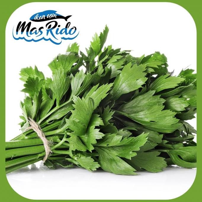 

Daun Seledri Sayur Segar 1 Ikat Kwalitas Premium Harga Murah