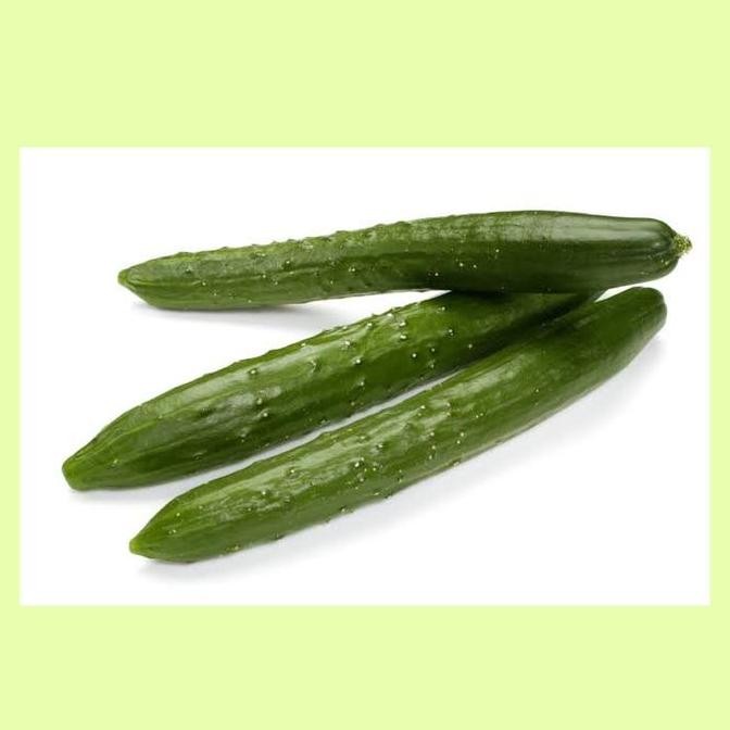 

timun jepang Kyuri / cucumber / sayur segar