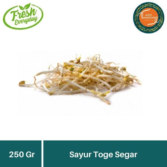 

Sayur Toge Segar 250 gr Tauge Fresh Touge Bersih 250gr